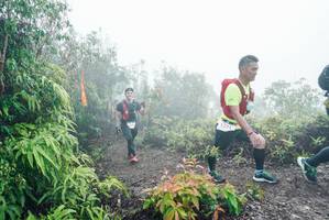 BIB: 
                            <button type="button" onclick="openModal(26271682)" class="btn btn-primary btn-sm float-right btn-popup" data-toggle="modal" data-target=".modal-high-quality">
                        <i class="fas fa-shopping-cart"></i> Add to Cart
                    </button>
                                            <button type="button" onclick="isThisMe(26271682, true)" class="btn btn-success btn-sm float-right btn-popup btn-isme hidden" data-toggle="tooltip" data-placement="bottom" title="นี่คือรูปของคุณใช่ไหม คลิกที่นี่เพื่อเอาเข้าอัลบั้ม">
                        <i class="fas fa-plus"></i> Add to album
                    </button>
                    <button type="button" onclick="isThisMe(26271682, false)" class="btn btn-warning btn-sm float-right btn-popup btn-isnotme hidden">
                        <i class="fas fa-ban"></i> Remove from album
                    </button>